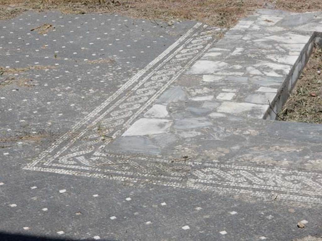 VI.1.7 Pompeii. May 2017. Detail of mosaic in north-west corner of impluvium. Photo courtesy of Buzz Ferebee.