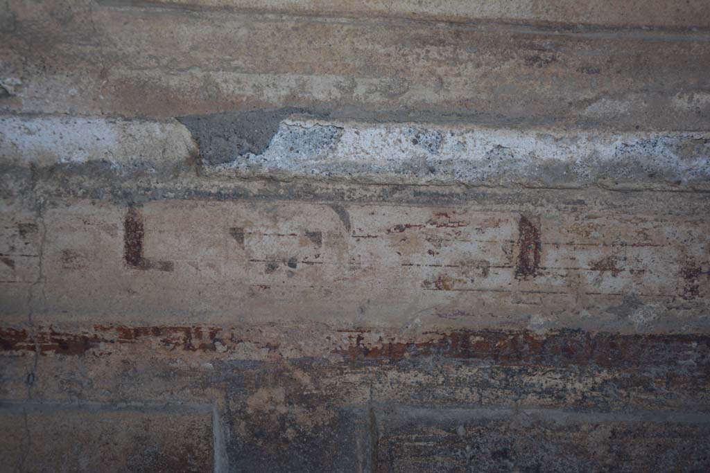 VI.2.4 Pompeii. December 2017. Detail from painted decoration from predella above zoccolo on north wall, continuation eastwards.
Foto Annette Haug, ERC Grant 681269 DÉCOR.