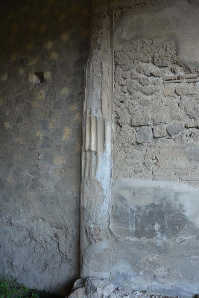VI.2.4 Pompeii. March 2019. 
Detail from north wall of outer small room in north-west corner, near summer triclinium. 
Foto Annette Haug, ERC Grant 681269 DCOR.

