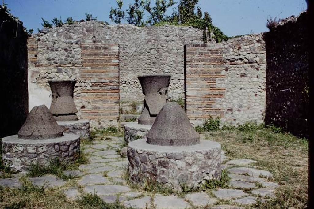 VI.3.3 Pompeii. 1968. Room 7, looking east across mill-room towards entrance at VI.3.27
Photo by Stanley A. Jashemski.
Source: The Wilhelmina and Stanley A. Jashemski archive in the University of Maryland Library, Special Collections (See collection page) and made available under the Creative Commons Attribution-Non Commercial License v.4. See Licence and use details.
J68f1982