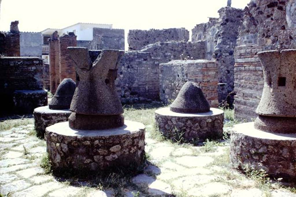 VI.3.3 Pompeii. 1968. Room 7, looking across mill-room towards its north-west corner. Photo by Stanley A. Jashemski.
Source: The Wilhelmina and Stanley A. Jashemski archive in the University of Maryland Library, Special Collections (See collection page) and made available under the Creative Commons Attribution-Non Commercial License v.4. See Licence and use details.
J68f1977