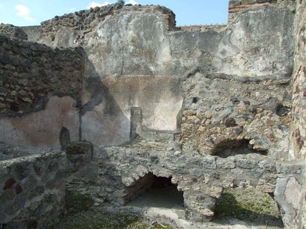 VI.3.3 Pompeii. March 2009. Room 8, North wall.