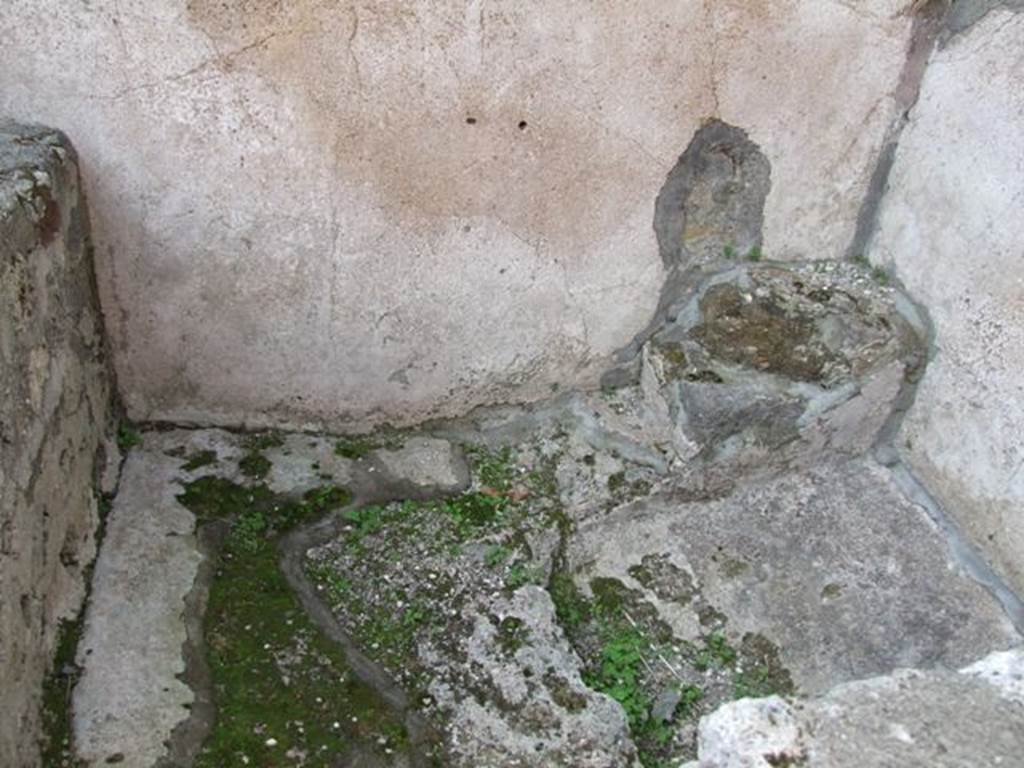 VI.3.3 Pompeii. March 2009. Room 8, latrine in north-west corner.