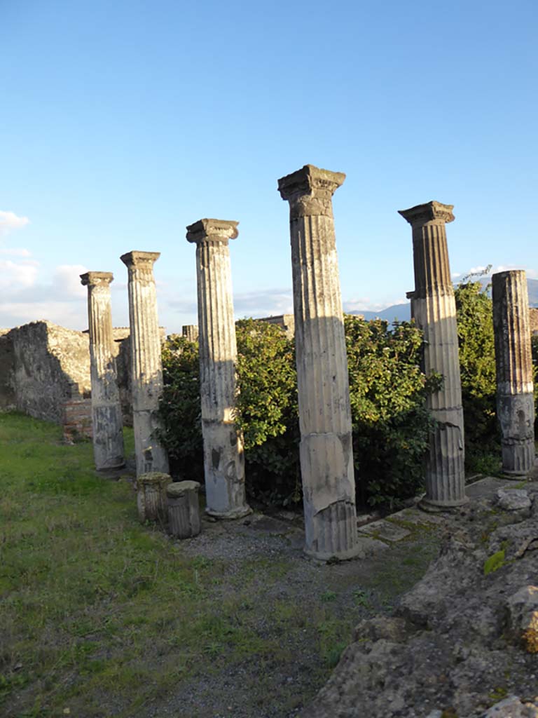 VI.6.1 Pompeii. January 2017. Looking south-east across north portico.
Foto Annette Haug, ERC Grant 681269 DCOR.
