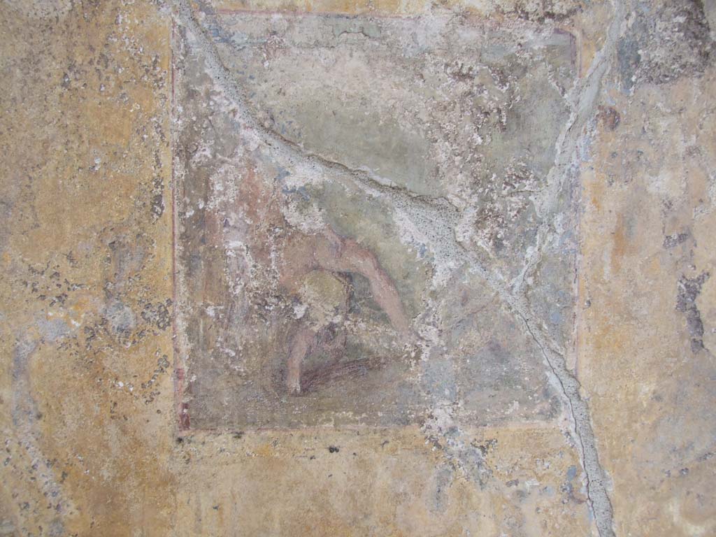 VI.7.23 Pompeii. December 2006. Central wall painting of the wounded Adonis from north wall of tablinum.
According to Bragantini, Adonis was the central painting from the south wall.
See Bragantini, de Vos, Badoni, 1983. Pitture e Pavimenti di Pompei, Parte 2. Rome: ICCD. (p.160)