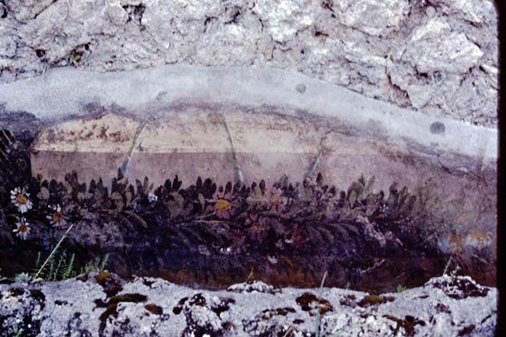 VI.7.23 Pompeii, 1983. Remains of painted trellis and flower garland from south wall of courtyard, behind fountain.
Source: The Wilhelmina and Stanley A. Jashemski archive in the University of Maryland Library, Special Collections (See collection page) and made available under the Creative Commons Attribution-Non Commercial License v.4. See Licence and use details. J80f0546