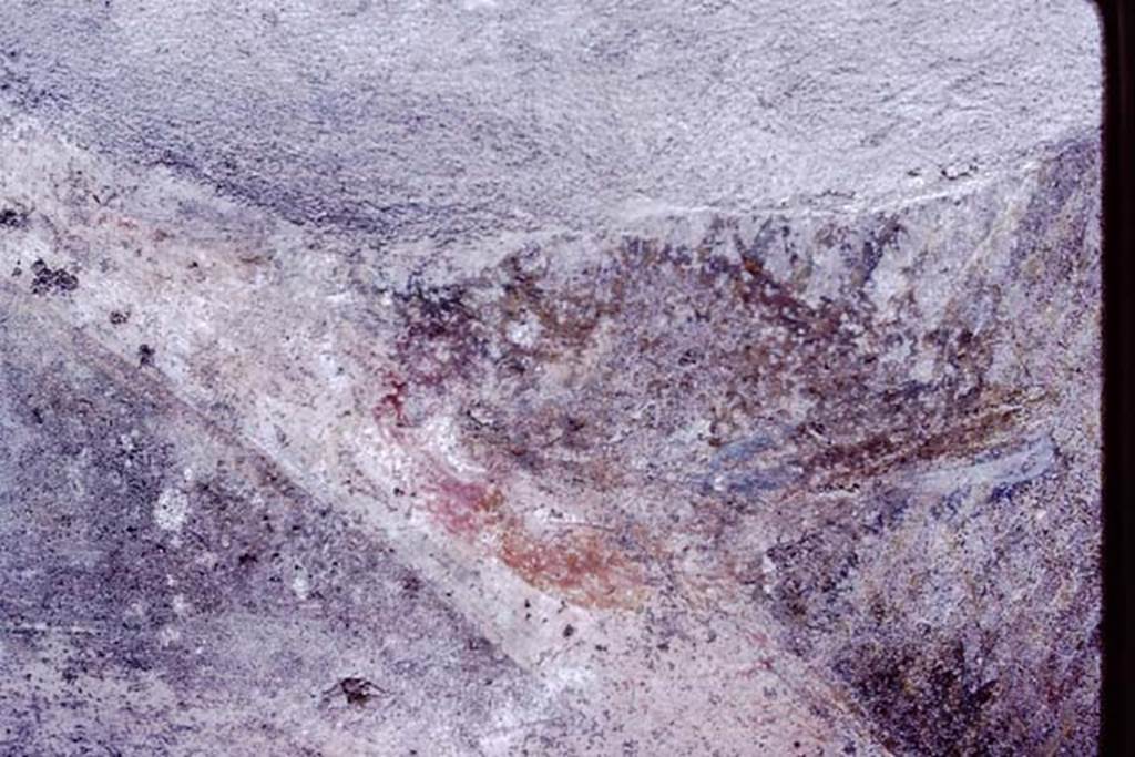 VI.7.23 Pompeii, 1983. Detail from above photo.
Source: The Wilhelmina and Stanley A. Jashemski archive in the University of Maryland Library, Special Collections (See collection page) and made available under the Creative Commons Attribution-Non Commercial License v.4. See Licence and use details. J80f0554