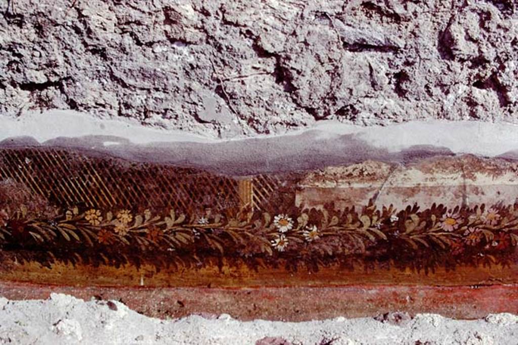 VI.7.23 Pompeii, 1978. Remains of painted trellis and flower garland from south wall of courtyard, behind fountain. Photo by Stanley A. Jashemski.
Source: The Wilhelmina and Stanley A. Jashemski archive in the University of Maryland Library, Special Collections (See collection page) and made available under the Creative Commons Attribution-Non Commercial License v.4. See Licence and use details. J78f0563