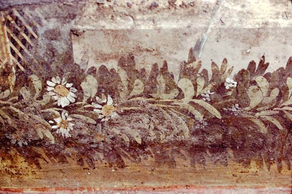 VI.7.23 Pompeii, 1978. Detail of remains of painted trellis and flower garland from south wall of courtyard, behind fountain.
Photo by Stanley A. Jashemski.
Source: The Wilhelmina and Stanley A. Jashemski archive in the University of Maryland Library, Special Collections (See collection page) and made available under the Creative Commons Attribution-Non Commercial License v.4. See Licence and use details.
J78f0564
