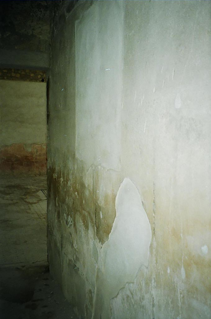 VI.8.3/5 Pompeii. July 2010.
Room 5, west wall of corridor, looking south towards atrium. Photo courtesy of Rick Bauer.