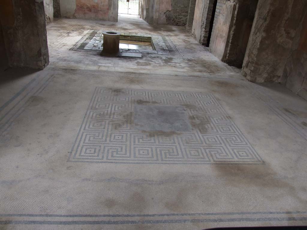 VI.8.3/5 Pompeii. March 2009. Room 6, tablinum with mosaic floor, linking VI.8.3 to VI.8.5.
In the centre of the mosaic floor would have been the emblema, below (now in Naples Museum).