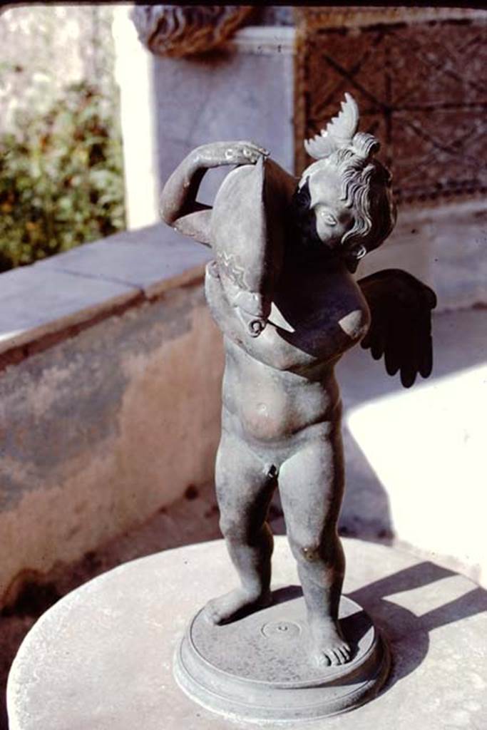 VI.8.22 Pompeii, 1968. Bronze statuette of a cupid holding a dolphin (0.56m high) shown in the photo on display in the fountain at VI.8.22. Now in Naples Archaeological Museum, inventory number 111701: Ruesch no 818. Photo by Stanley A. Jashemski.
Source: The Wilhelmina and Stanley A. Jashemski archive in the University of Maryland Library, Special Collections (See collection page) and made available under the Creative Commons Attribution-Non Commercial License v.4. See Licence and use details.
J68f1244
According to Wilhelmina, this bronze statuette is a replica of one found in the garden of IX.7.20, and displayed here. It was one of the finest found in the Vesuvian area.
See Jashemski, W. F., 1993. The Gardens of Pompeii, Volume II: Appendices. New York: Caratzas. (p.135 and p.240)