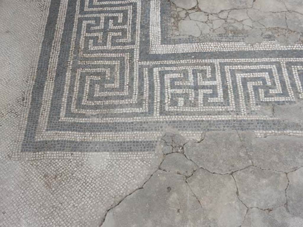 VI.8.22 Pompeii. May 2017. South-east corner of mosaic floor in tablinum. Photo courtesy of Buzz Ferebee.