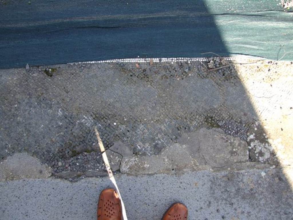 VI.8.22 Pompeii. March 2009. Room 13. Mosaic floor.