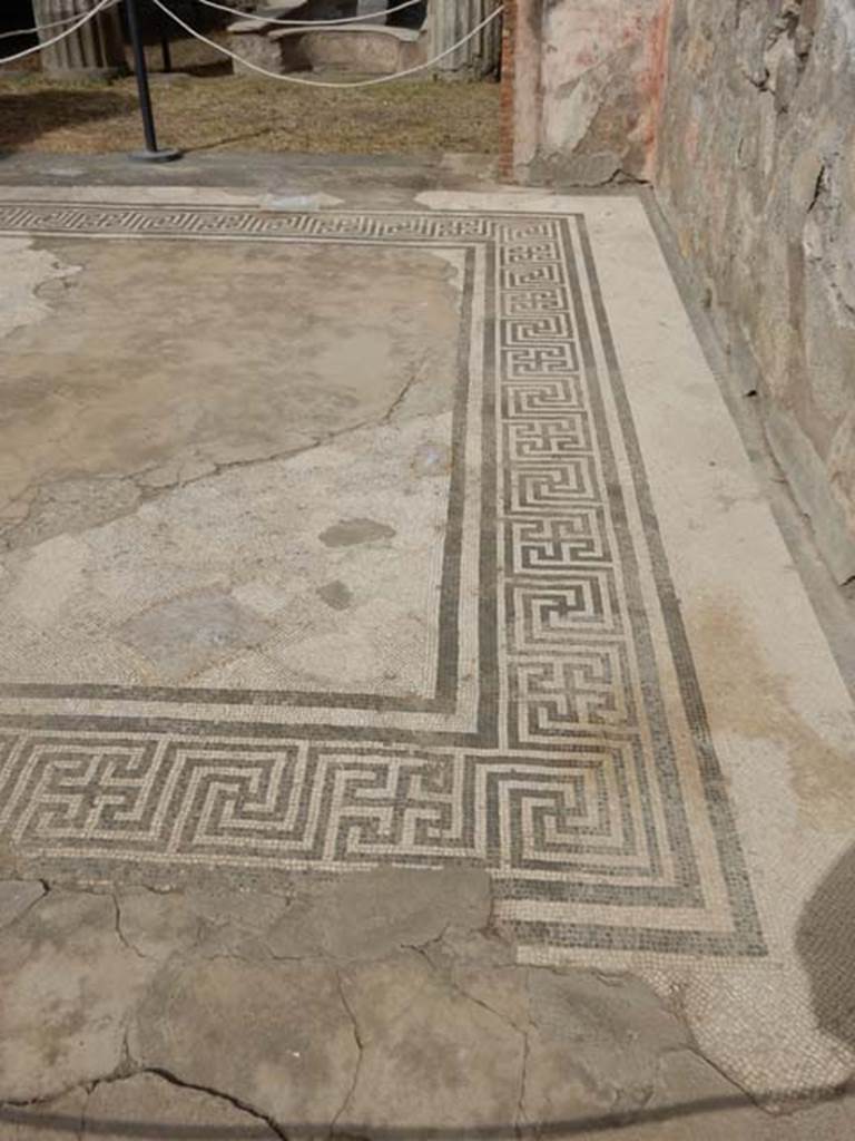VI.8.22 Pompeii. May 2017. Looking west across north side of mosaic floor in tablinum. Photo courtesy of Buzz Ferebee.