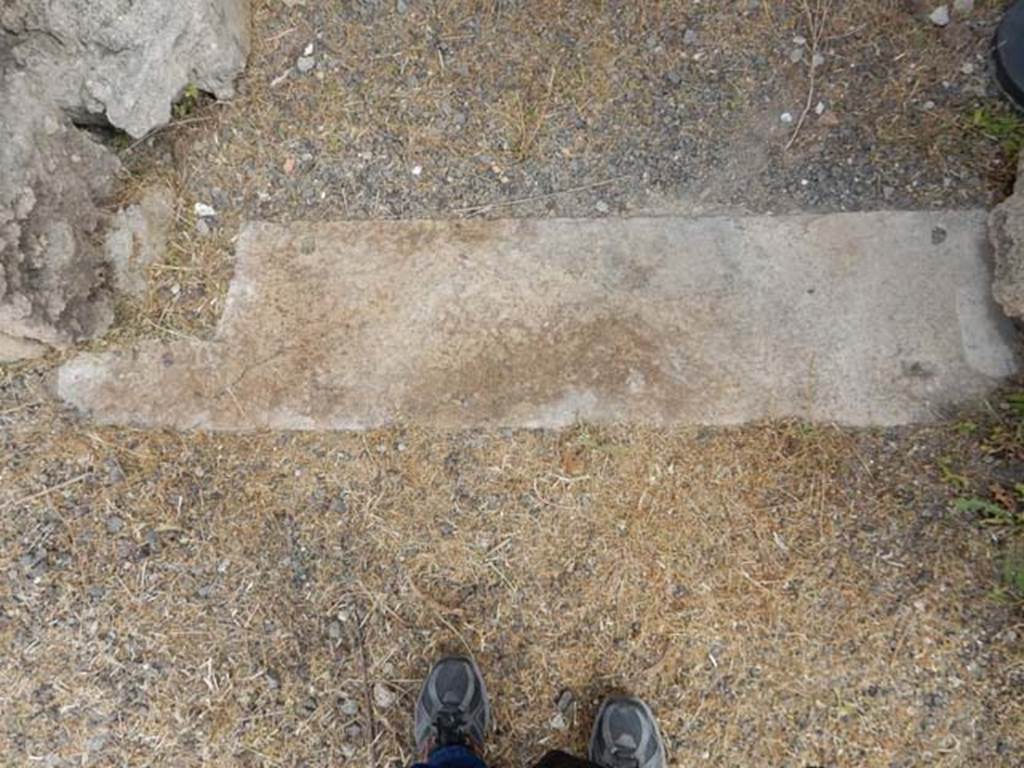 VI.8.22 Pompeii. May 2017. Room 17, threshold of doorway. Photo courtesy of Buzz Ferebee.