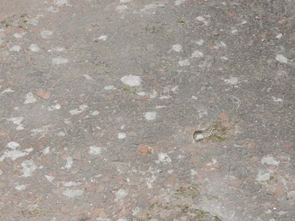 VI.8.22 Pompeii. May 2017. Room 18, detail of flooring. Photo courtesy of Buzz Ferebee.