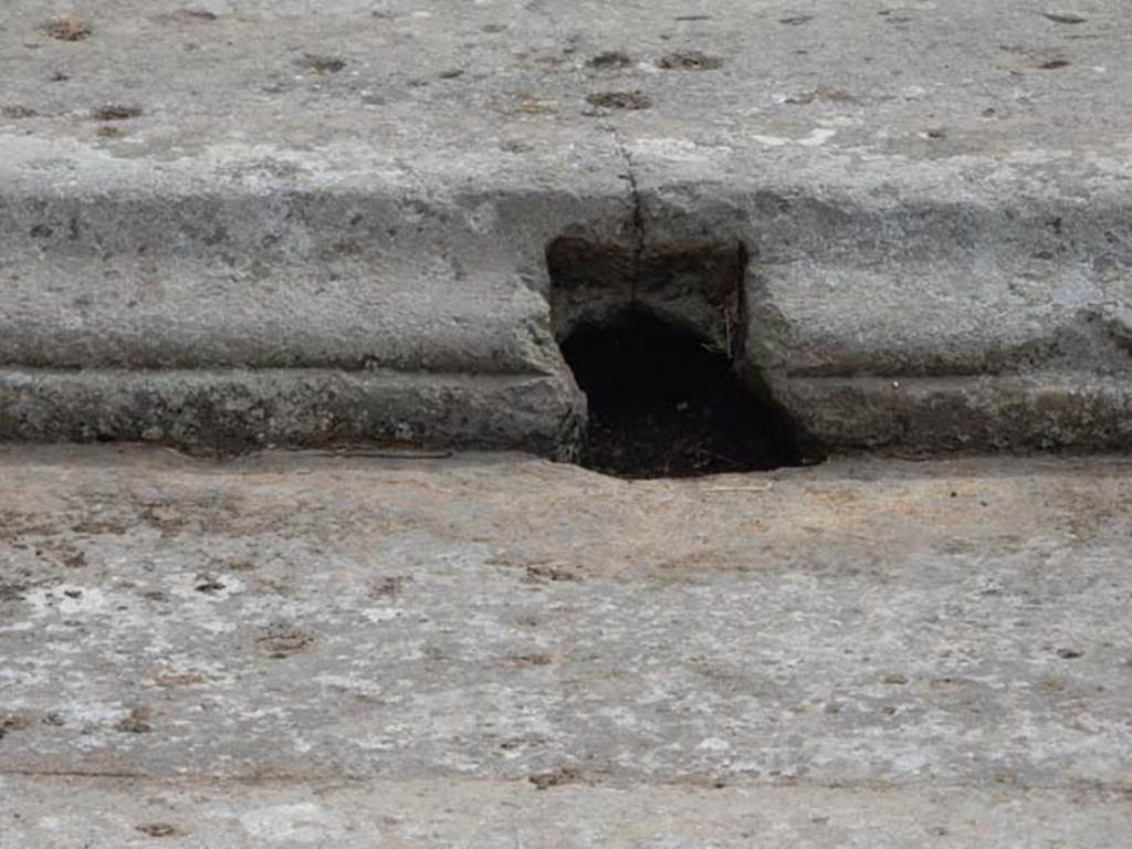 VI.8.22 Pompeii. May 2017. Drainage hole in east side of impluvium.
Photo courtesy of Buzz Ferebee.