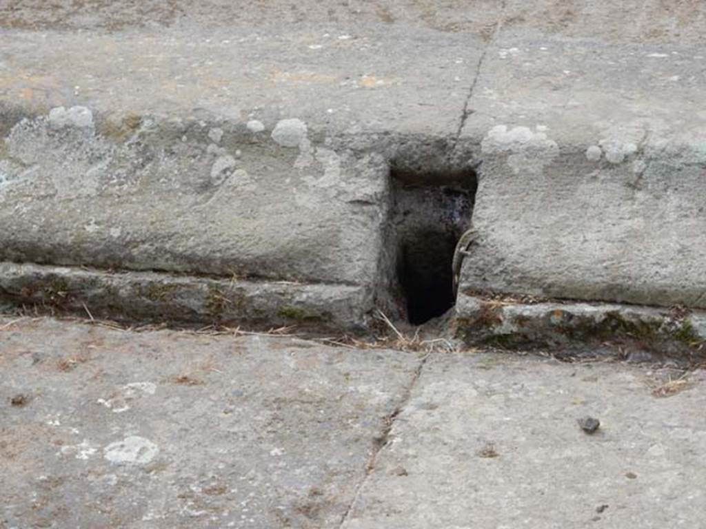 VI.8.22 Pompeii. May 2017. Drainage hole in south side of impluvium.
Photo courtesy of Buzz Ferebee.