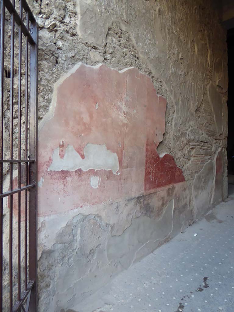 VI.8.23 Pompeii. January 2017. Detail of painted decoration on south wall of entrance corridor.
Foto Annette Haug, ERC Grant 681269 DÉCOR.