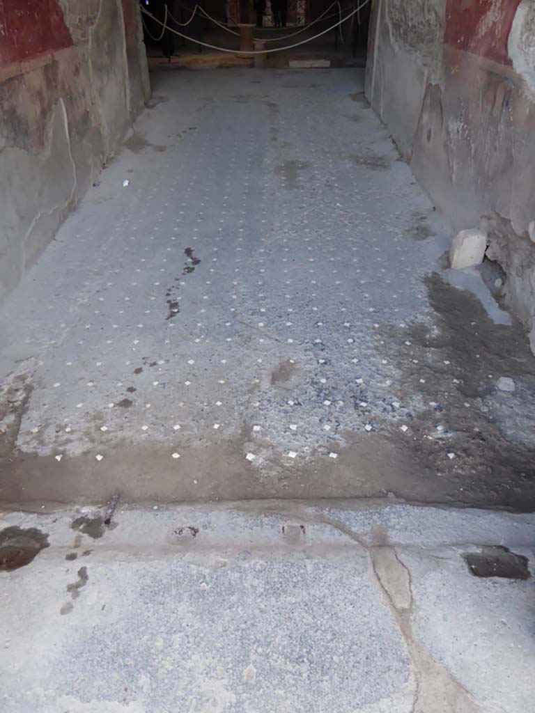 VI.8.23 Pompeii. January 2017. Looking west across flooring in entrance corridor.
Foto Annette Haug, ERC Grant 681269 DÉCOR.