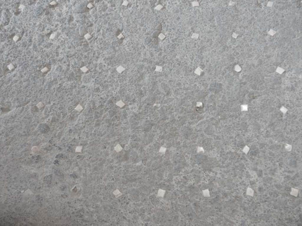 VI.8.23 Pompeii. May 2017. Flooring in entrance corridor extending into the atrium was lavapesta with regular rows of white tesserae. Photo courtesy of Buzz Ferebee.