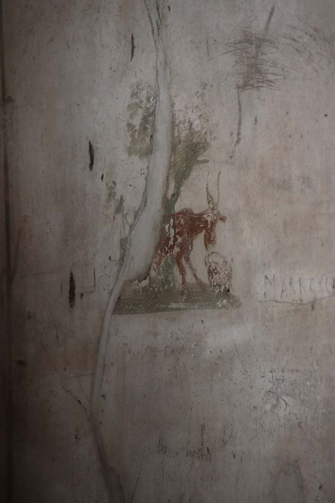 VI.8.23 Pompeii. September 2017. Detail of painted panel on east end of south wall.
Photo courtesy of Klaus Heese.