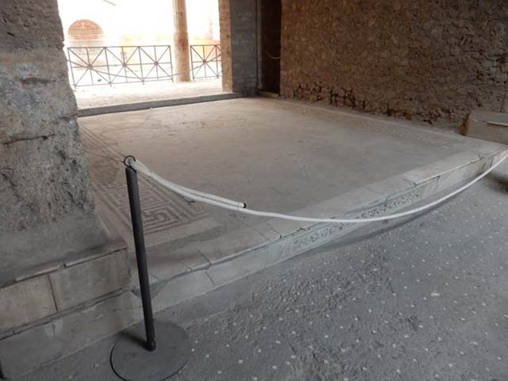 VI.8.23 Pompeii. May 2017. Mosaic floor in tablinum, looking north-west from atrium.
Photo courtesy of Buzz Ferebee.