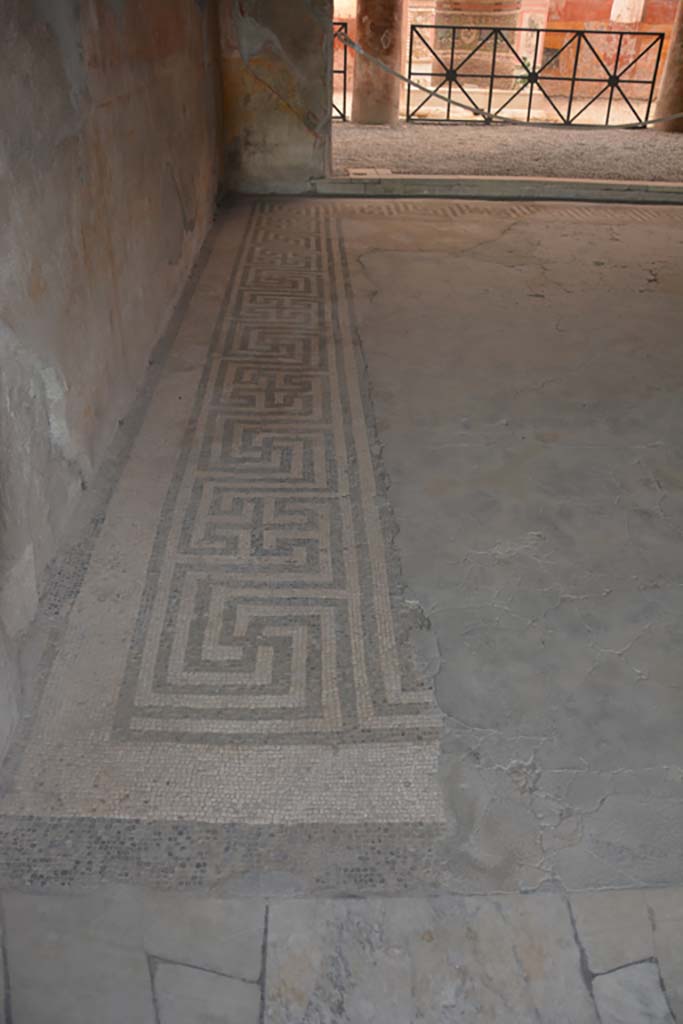 VI.8.23 Pompeii. September 2019. Tablinum floor, looking west along south side.
Foto Annette Haug, ERC Grant 681269 DÉCOR.