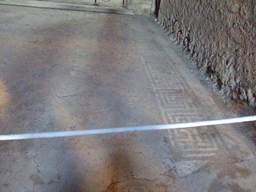 VI.8.23 Pompeii. December 2006. Mosaic floor in tablinum, north side, looking west. 