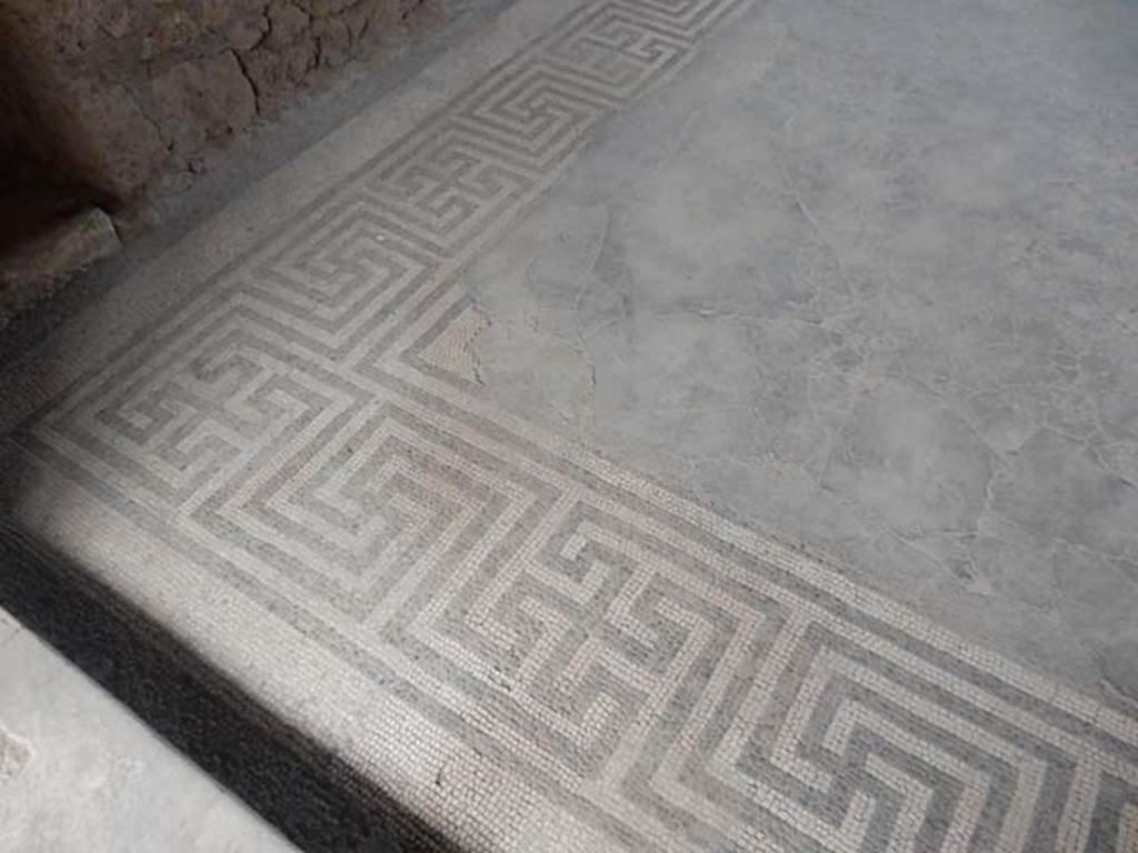 VI.8.23 Pompeii. May 2017. Mosaic floor in north-west corner of tablinum. Photo courtesy of Buzz Ferebee.