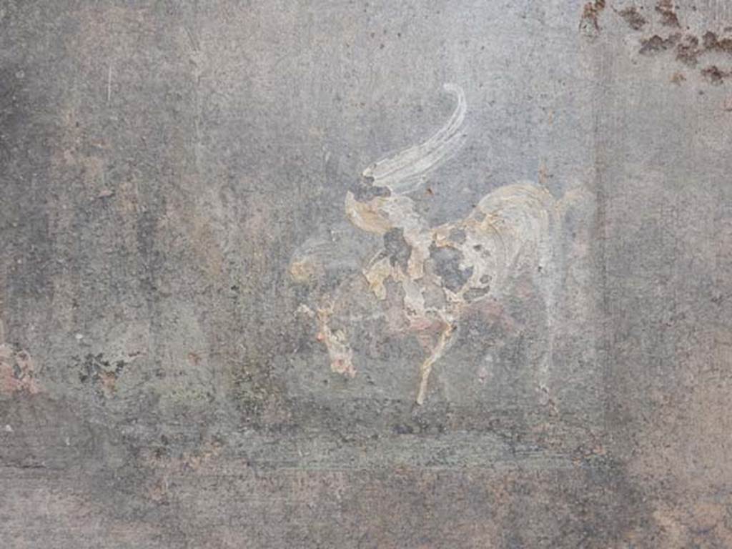VI.8.23 Pompeii. May 2017. Detail from north wall on west side of doorway to room.
Photo courtesy of Buzz Ferebee.