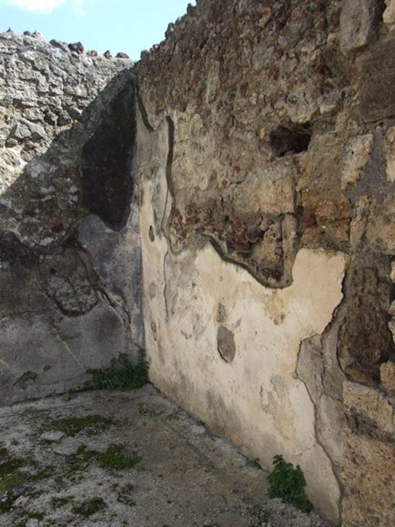 VI.9.2 Pompeii. March 2009. Room 25. South wall.