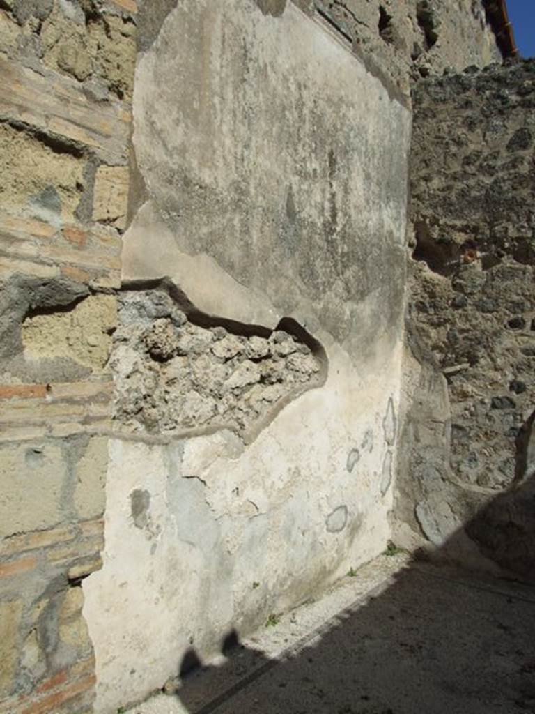 VI.9.2 Pompeii. March 2009. Room 25. North wall.