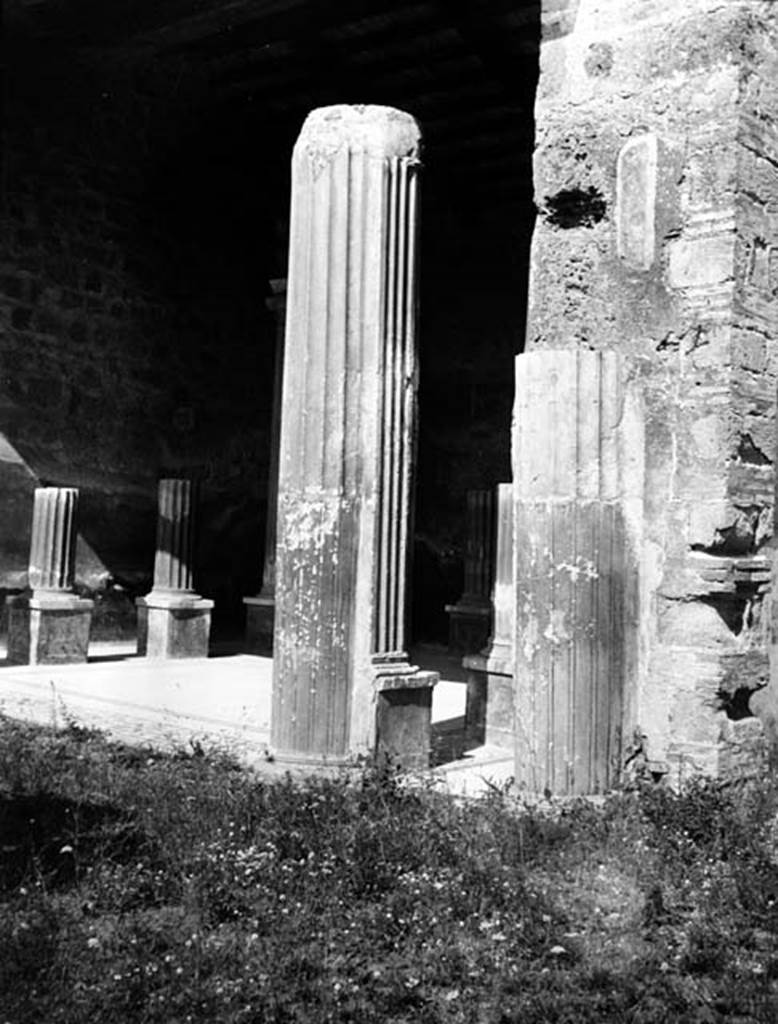 231447 Bestand-D-DAI-ROM-W.424.jpg
VI.9.2 Pompeii. W.424. Room 24, looking north-east from peristyle 16.
Photo by Tatiana Warscher. With kind permission of DAI Rome, whose copyright it remains.
See http://arachne.uni-koeln.de/item/marbilderbestand/231447