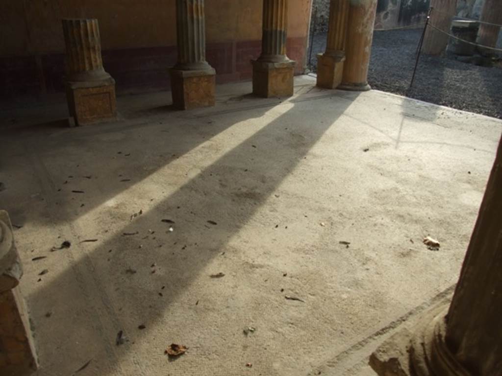 VI.9.2 Pompeii. December 2007. Room 24. Corinthian Oecus. Mosaic floor.