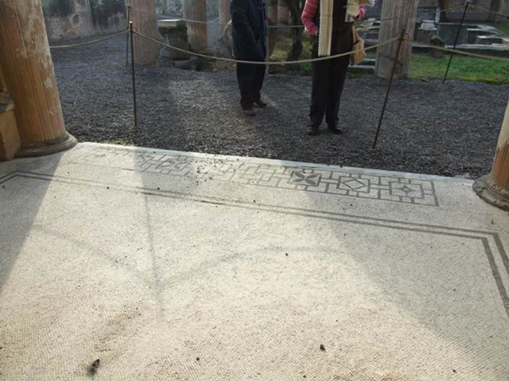 VI.9.2 Pompeii. December 2007. Room 24. Corinthian Oecus. Mosaic floor.