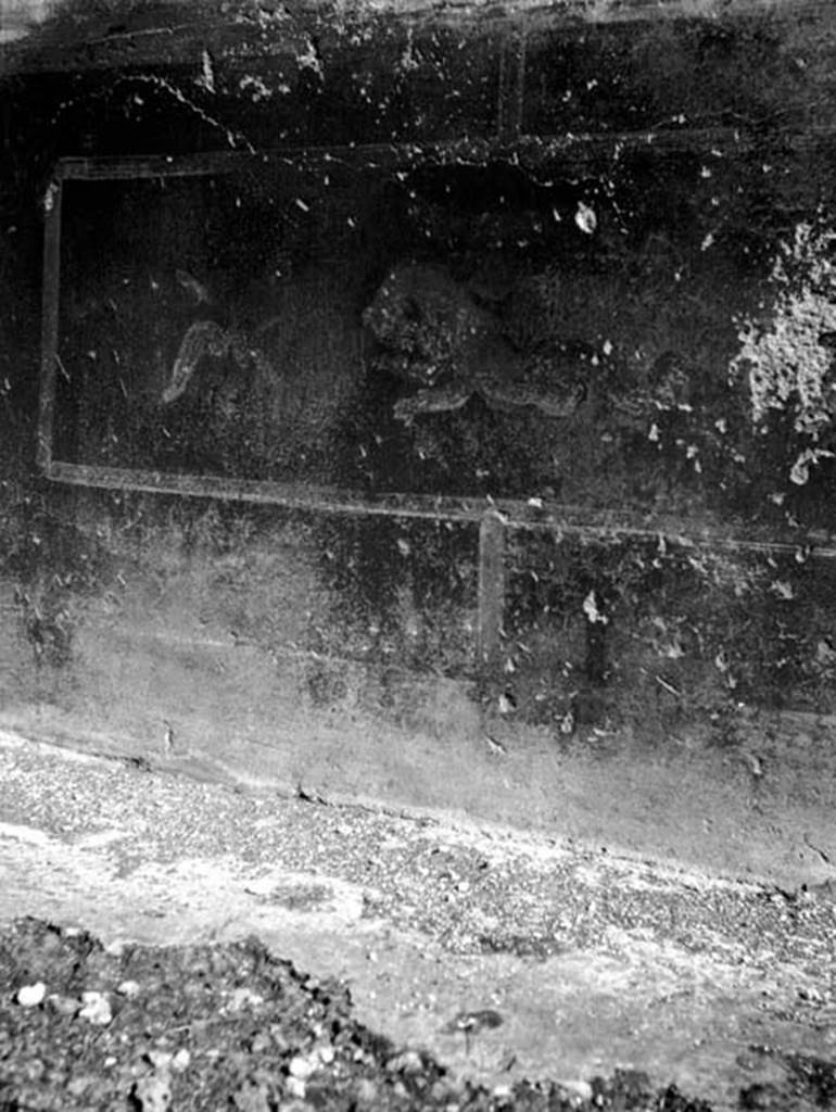 231750 Bestand-D-DAI-ROM-W.612.jpg
VI.9.2 Pompeii. W.612. Peristyle 16, remains of wall painting from dado on east wall.
Photo by Tatiana Warscher. With kind permission of DAI Rome, whose copyright it remains.
See http://arachne.uni-koeln.de/item/marbilderbestand/231750