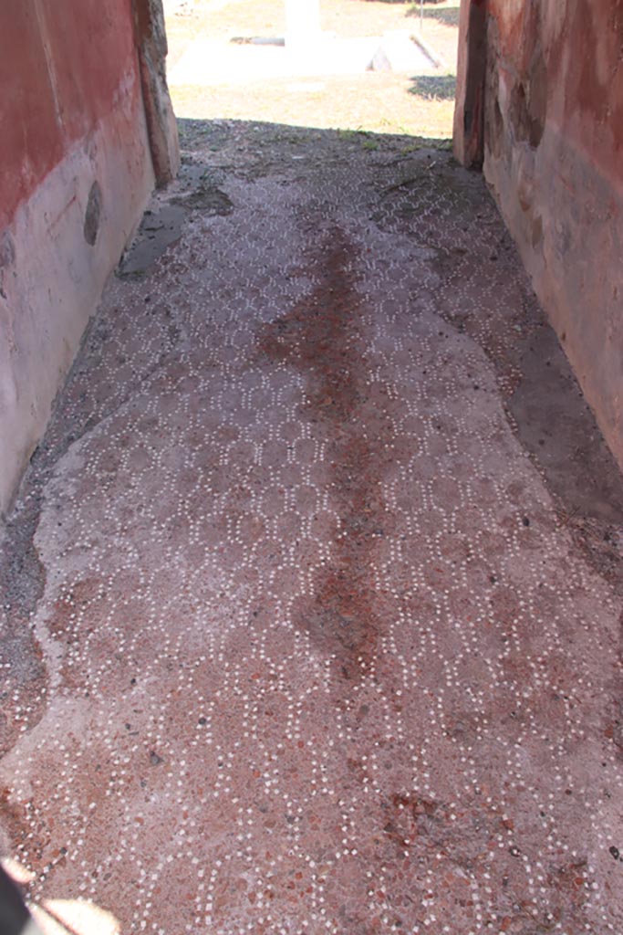VI.9.2 Pompeii. October 2022. 
Looking east across flooring in entrance corridor/fauces. Photo courtesy of Klaus Heese.

