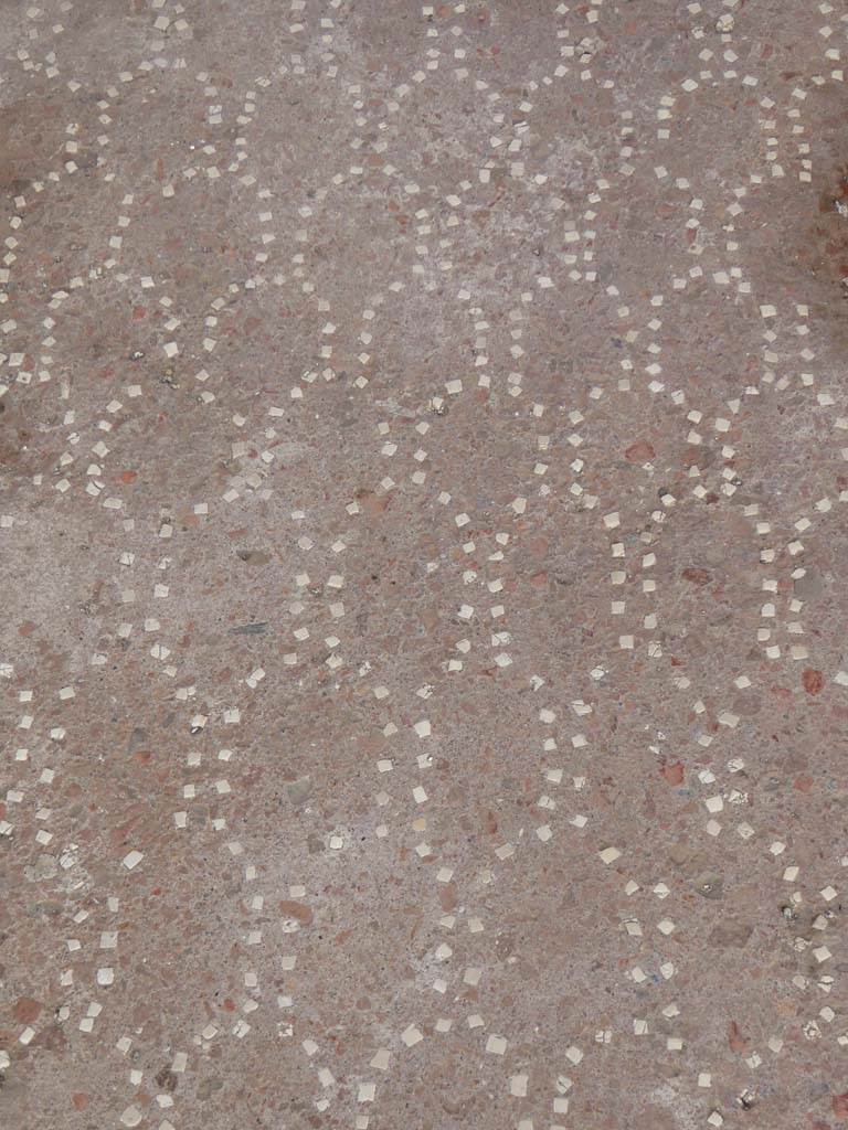 VI.9.2/13 Pompeii. September 2017. Detail of flooring in entrance corridor/fauces.
Foto Annette Haug, ERC Grant 681269 DÉCOR.
