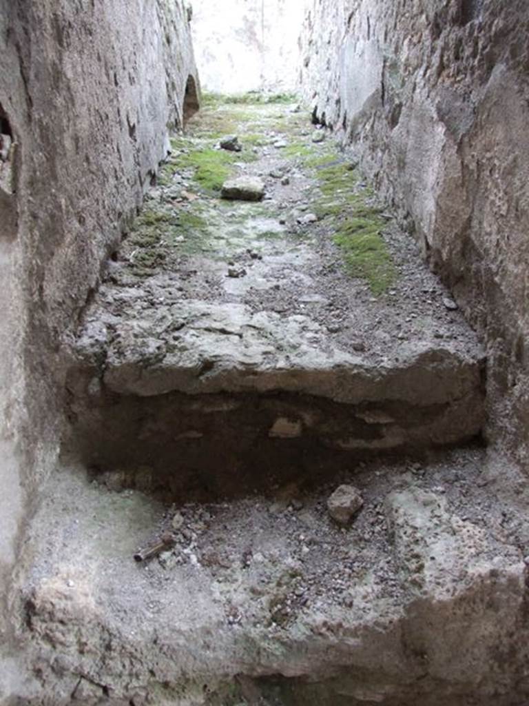 VI.9.2 Pompeii. December 2007. Room 46. Steps and ramp.