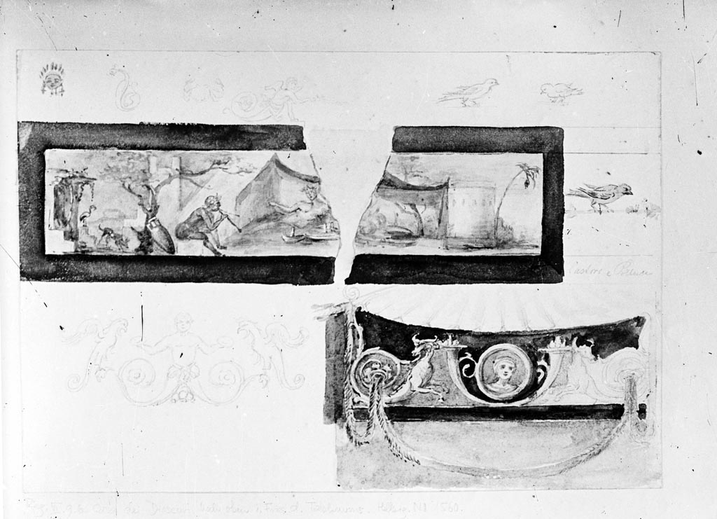 VI.9.6 Pompeii. W.199. Room 9, tablinum.
Drawing of wall decorations, the top drawing could be seen on the upper section frieze at the west end of the south wall.
Photo by Tatiana Warscher. Photo © Deutsches Archäologisches Institut, Abteilung Rom, Arkiv.