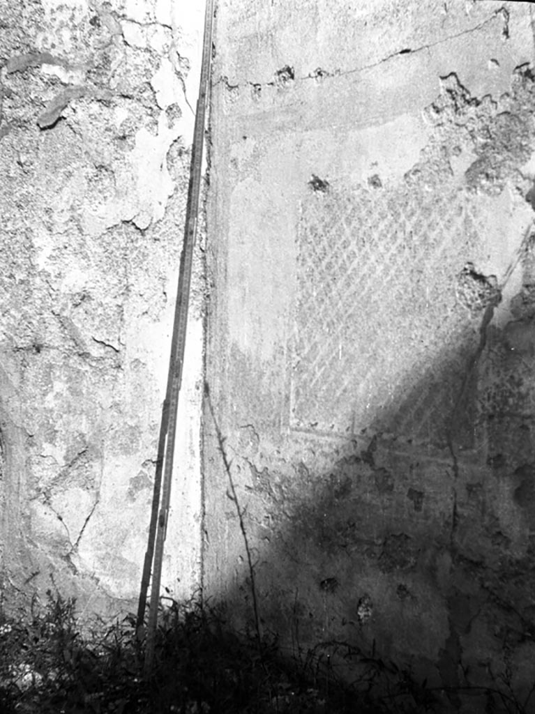 VI.9.6 Pompeii. W.921. Room 17, remains of painted garden trellis from east wall.
Photo by Tatiana Warscher. Photo © Deutsches Archäologisches Institut, Abteilung Rom, Arkiv.