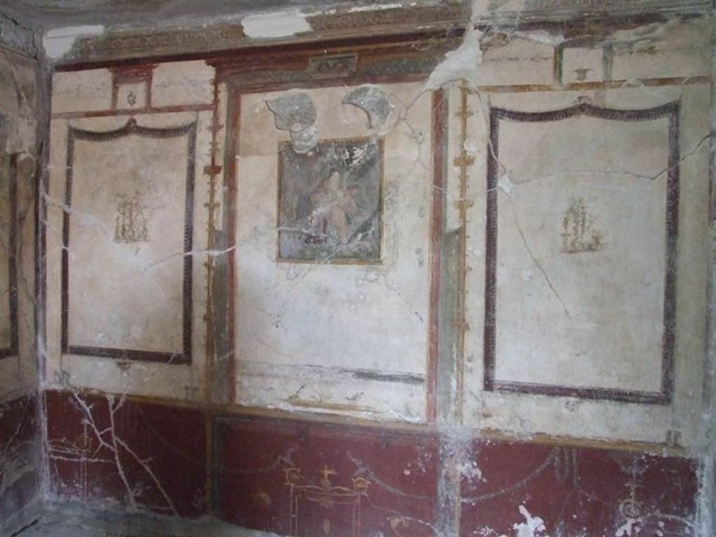 VI.9.6 Pompeii. March 2009. Room 21. West wall.
