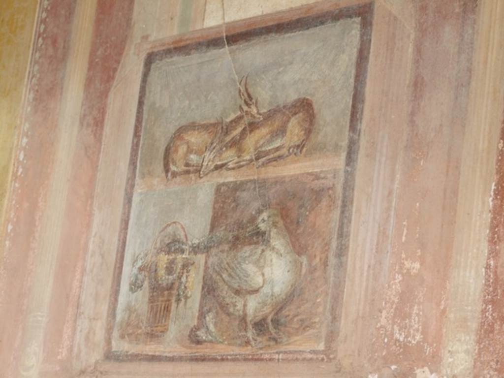 VI.9.6 Pompeii. March 2009. Room 6, wall painting of two deer, a basket with garlands and a goose from north wall of peristyle on west side of doorway. See Helbig, W., 1868. Wandgemälde der vom Vesuv verschütteten Städte Campaniens. Leipzig: Breitkopf und Härtel. (1610: p.401).