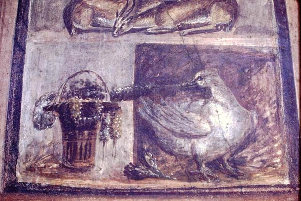 VI.9.6 Pompeii. 1968. Room 6, detail from wall painting of two deer, a basket with garlands and a goose. Photo by Stanley A. Jashemski.
Source: The Wilhelmina and Stanley A. Jashemski archive in the University of Maryland Library, Special Collections (See collection page) and made available under the Creative Commons Attribution-Non Commercial License v.4. See Licence and use details.
J68f1007