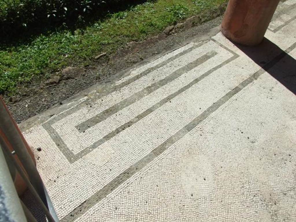 VI.9.6 Pompeii. March 2009. Room 6, mosaic floor at west end of north side of peristyle.