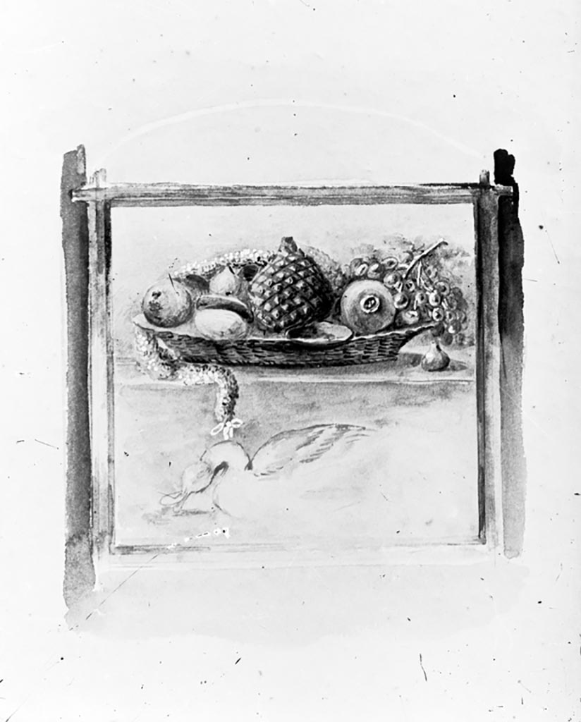 VI.9.6 Pompeii. W.222.
Drawing of a painting of a basket of fruit, from west wall of peristyle 6 in the north-west corner.
Photo by Tatiana Warscher. Photo © Deutsches Archäologisches Institut, Abteilung Rom, Arkiv.