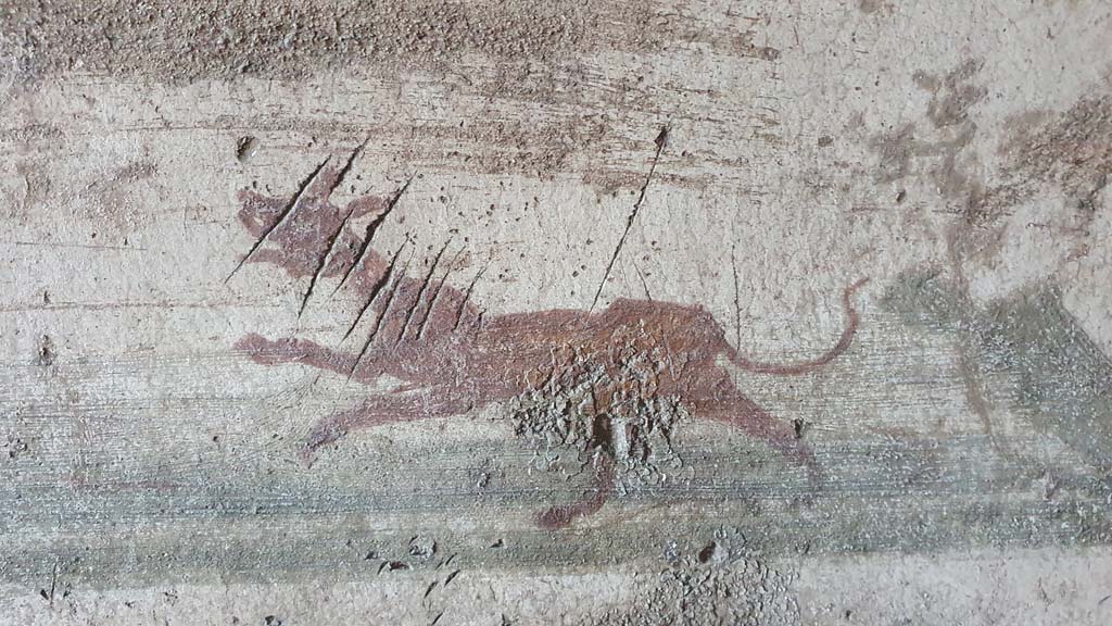 VI.10.1 Pompeii. July 2021. Detail from hunt scene on predella of south wall of rear room.
Foto Annette Haug, ERC Grant 681269 DÉCOR.