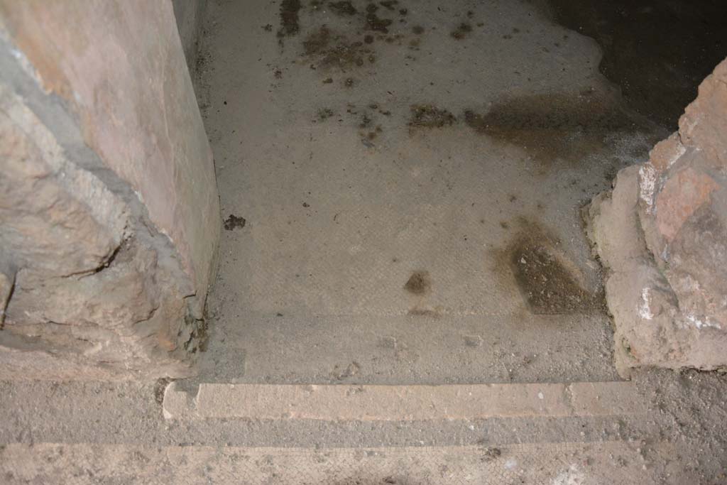 VI.11.10 Pompeii. October 2017. Room 44, doorway threshold from room 43.
Foto Annette Haug, ERC Grant 681269 DÉCOR